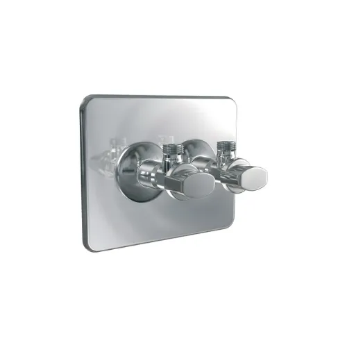 Cache ROBIFIX 50mm + robinet d'arrêt - WATTS
