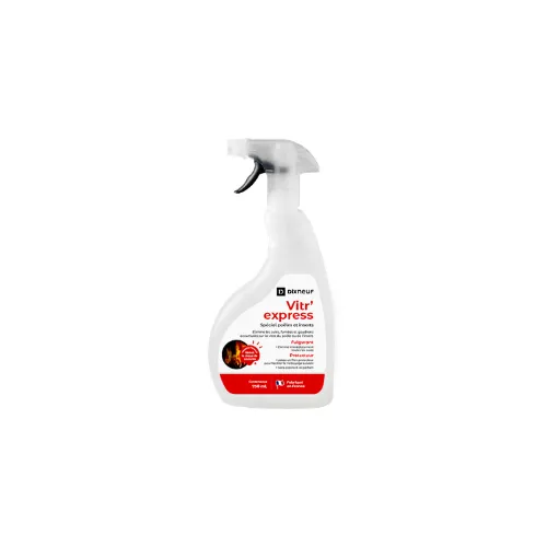 Nettoyant pour vitres - Vitr’Express - DIXNEUF