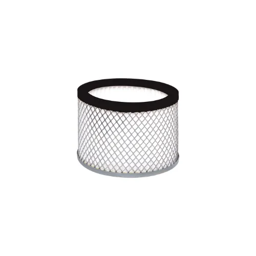 Filtre Hepa pour aspirateur à cendres - DIXNEUF