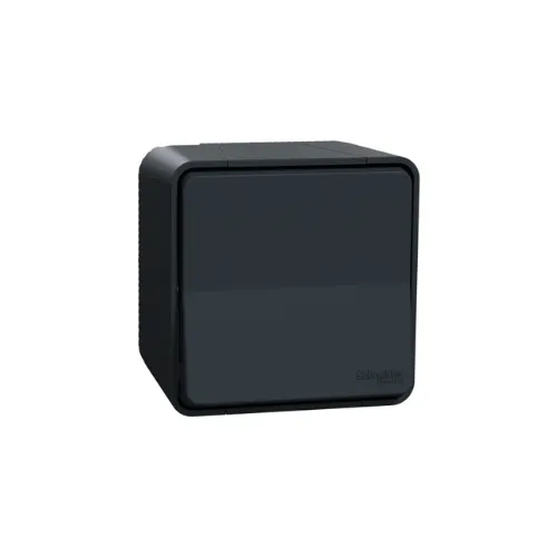 Mureva Styl - Va et vient - saillie - IP55 - IK08 - connexion auto - gris - SCHNEIDER ELECTRIC