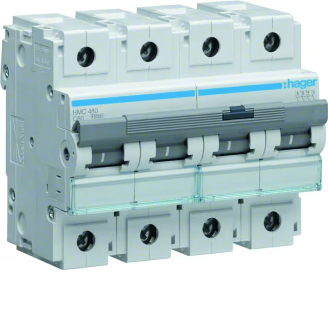 Disjoncteur 15kA C-80A 3M